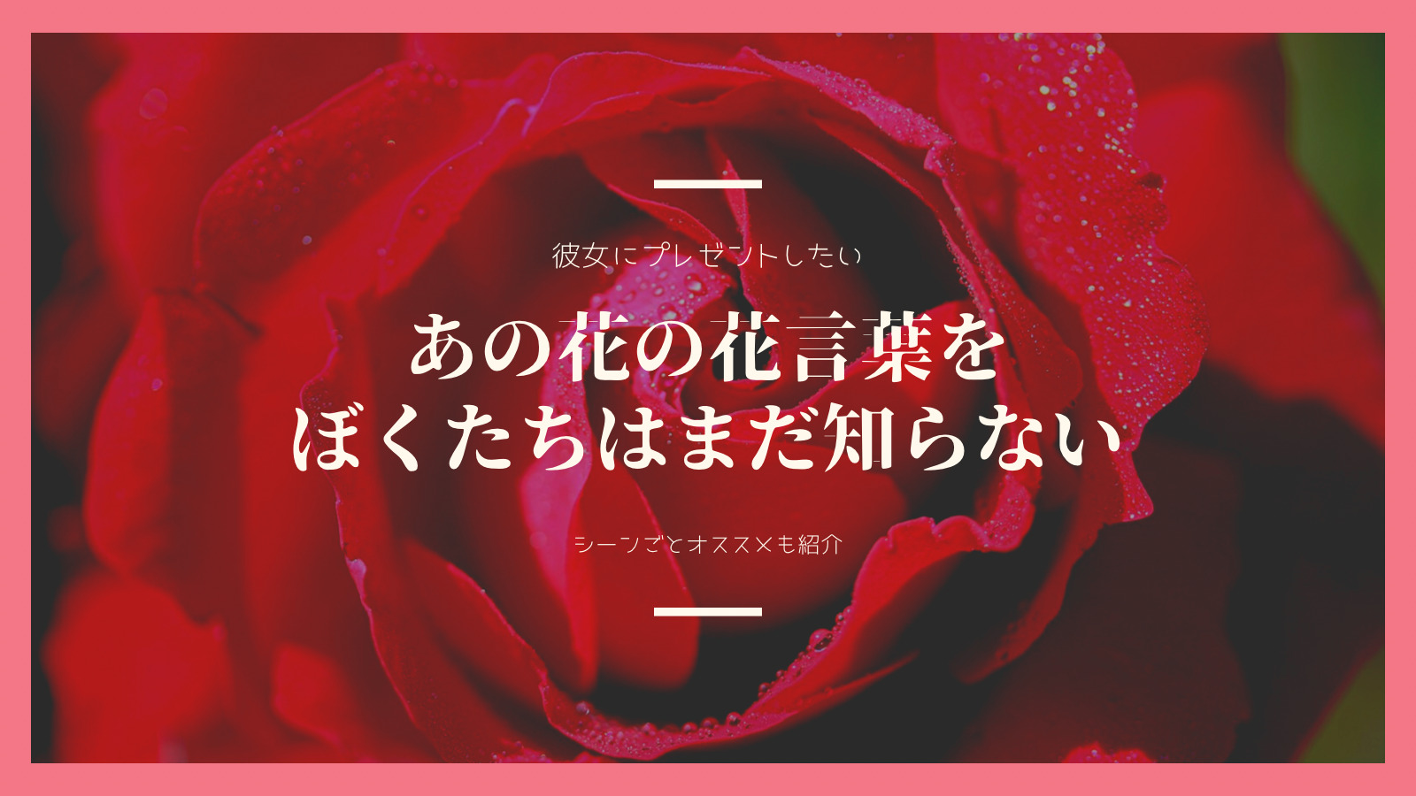 恋人へ花を贈ろう 伝えたい気持ちごとにオススメの花と花言葉を紹介 こんなデートはいかがでしょう